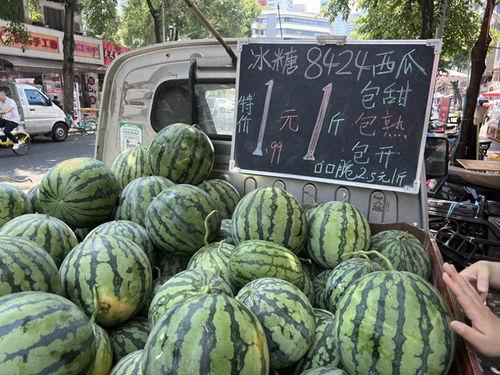 吃瓜1.6,揭秘娱乐圈最新热点事件