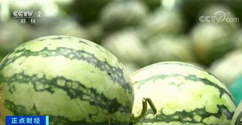 月入过万吃瓜,揭秘吃瓜群众的幸福生活