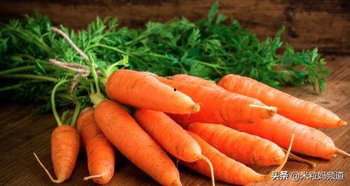 吃瓜爱吃胡萝卜,吃瓜者的健康美味选择